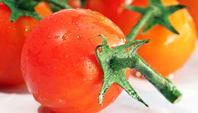 免费DDOS攻击测试工具